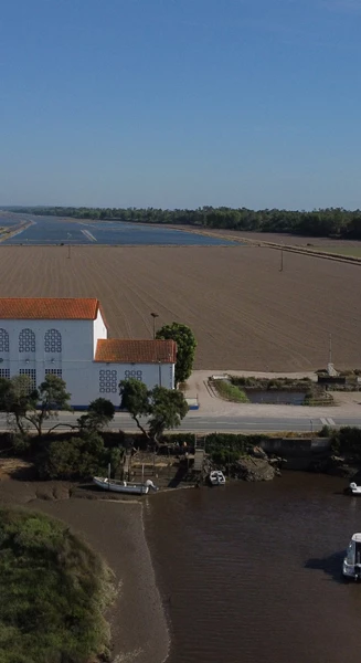 DJI 0501