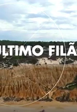 Captura De Ecrã 2021 11 30 141411