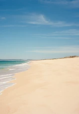 E26E8E29 F08E 403E A94F C57F616AED09 1 105 C