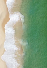 DJI 0295