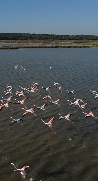 DJI 0546